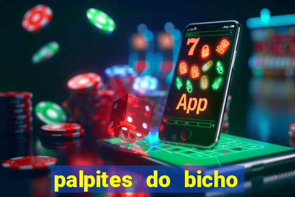 palpites do bicho no celular